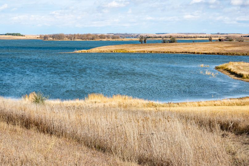 3 SW corner of lot looking NE