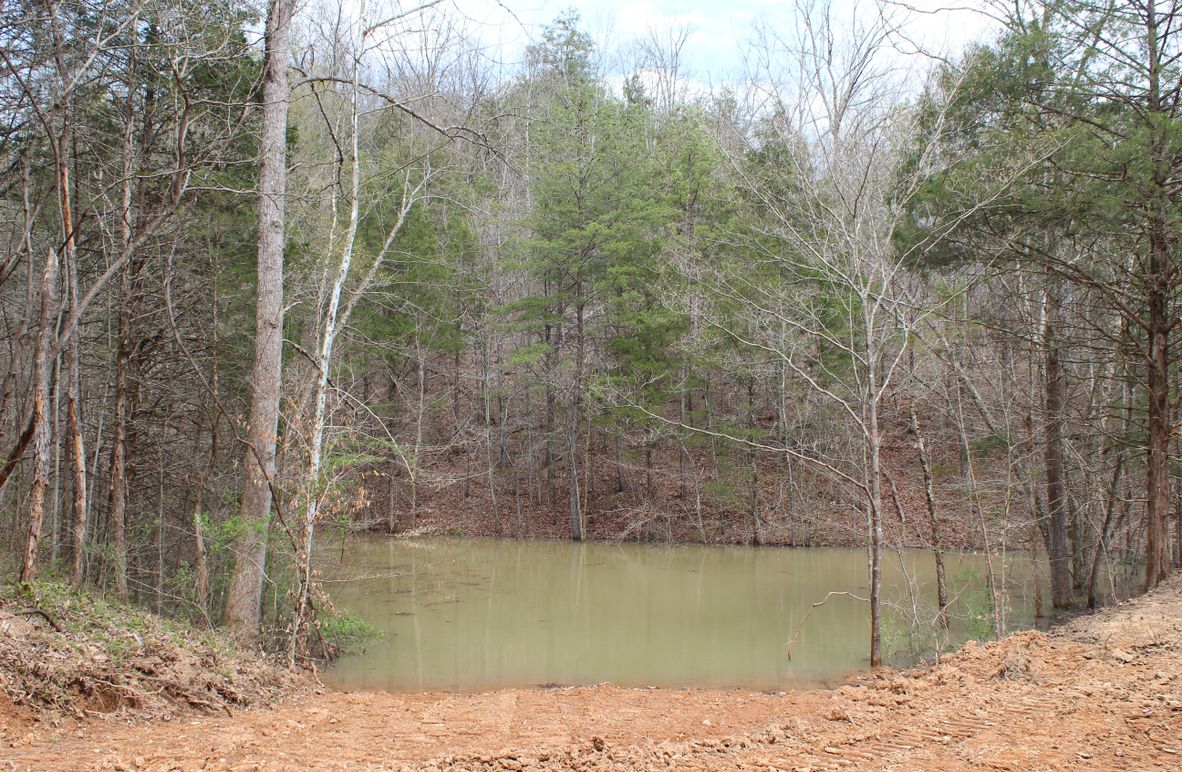004 the quiet pond nestled in the woods
