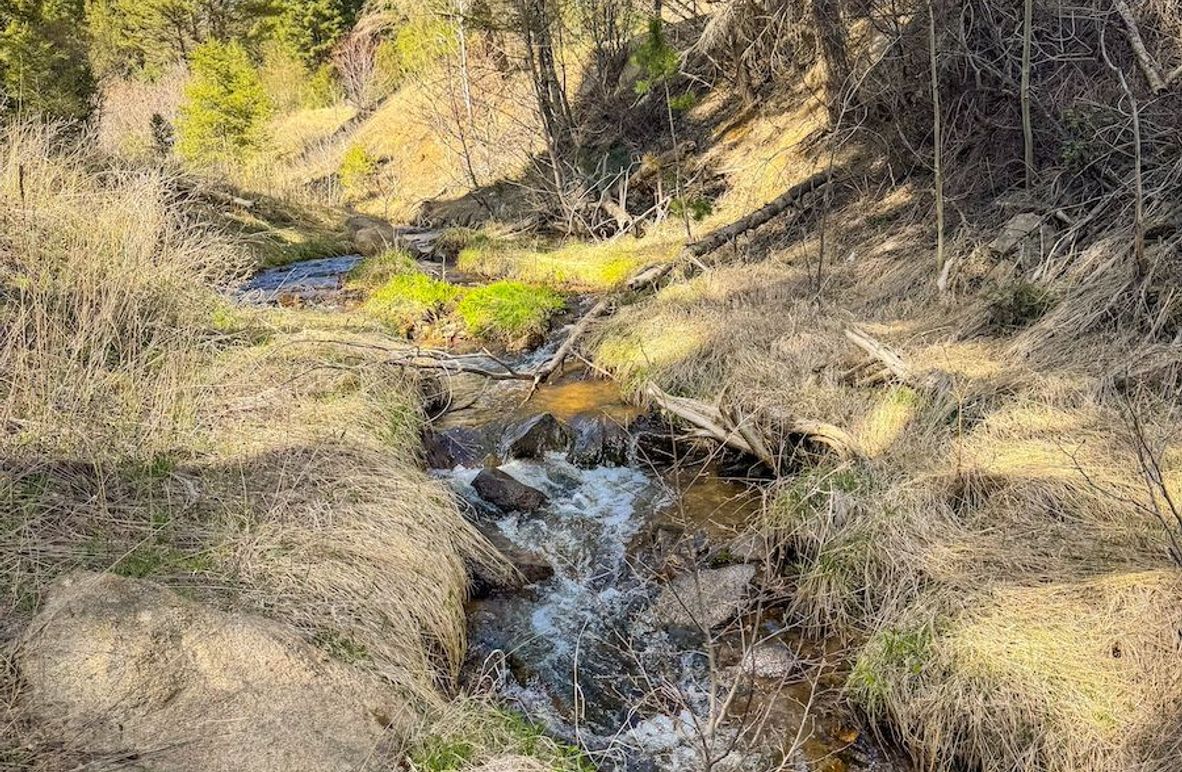 1. 20250508-IMG_3861 2