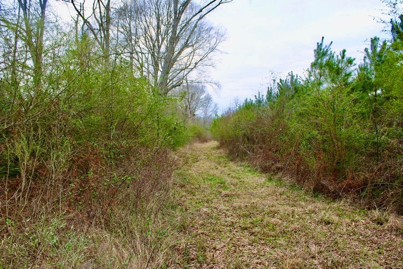 4F4ACCCC-A6F7-495E-84DE-639558F566A6_1_105_c