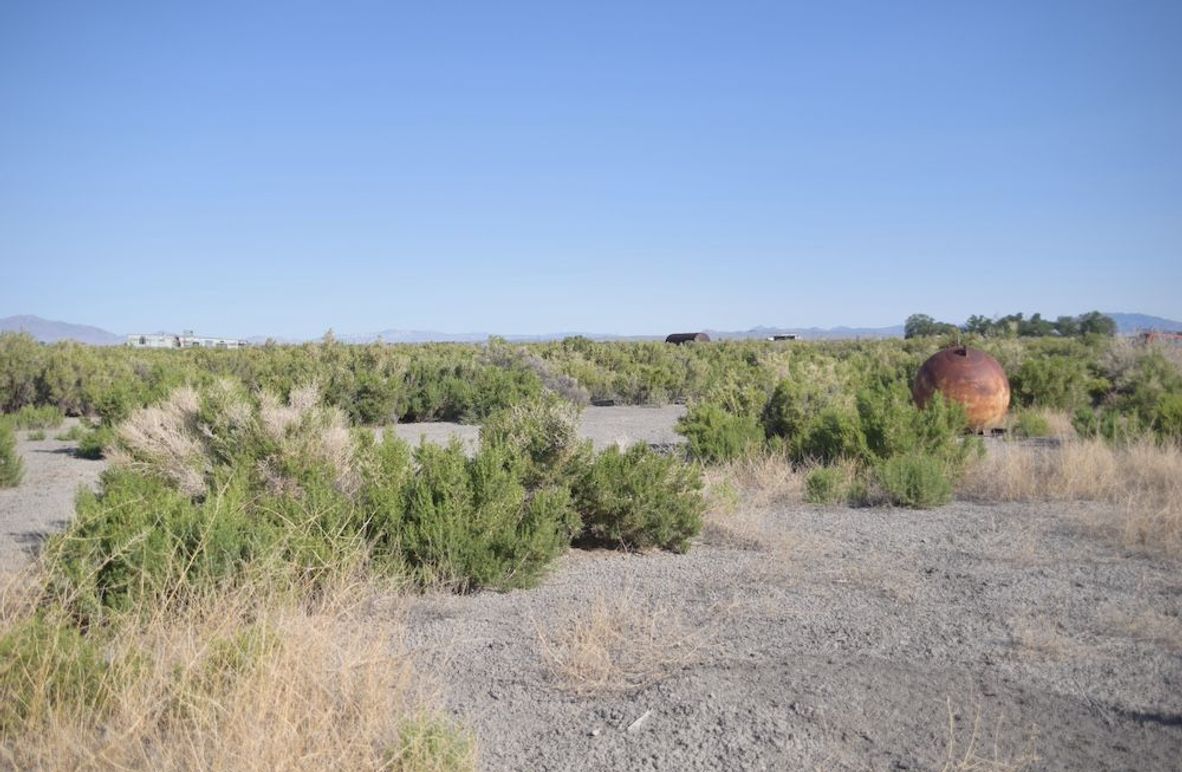 Copy of Copy of DSC_0104