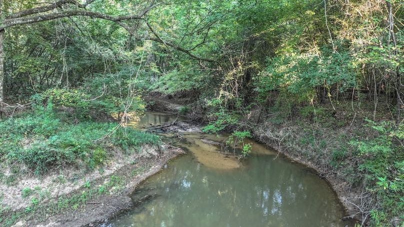 DJI_20250918081342_0128_D