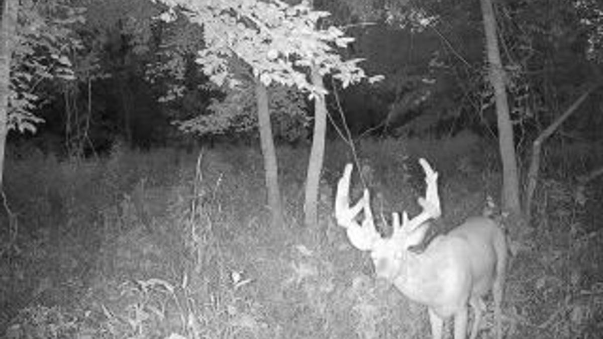 Mostly Tillable Farm With Excellent Recreational Opportunity