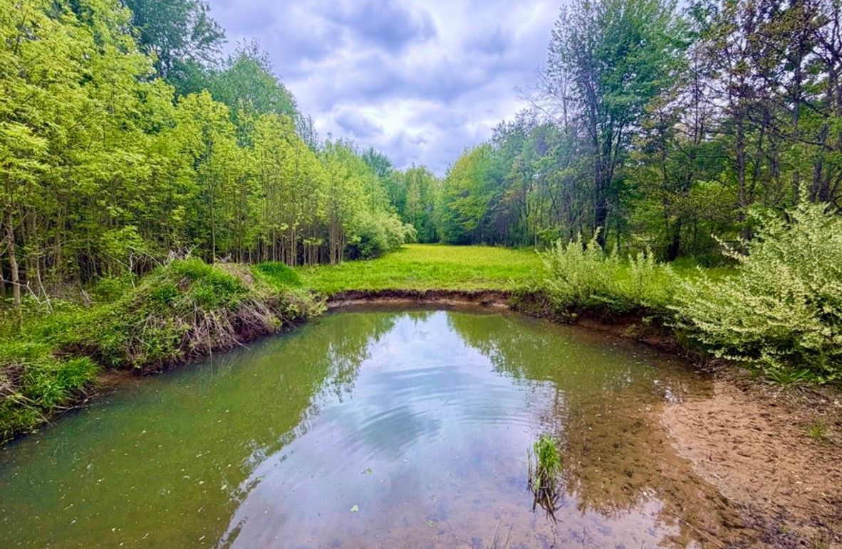 2 Food PLot and Pond