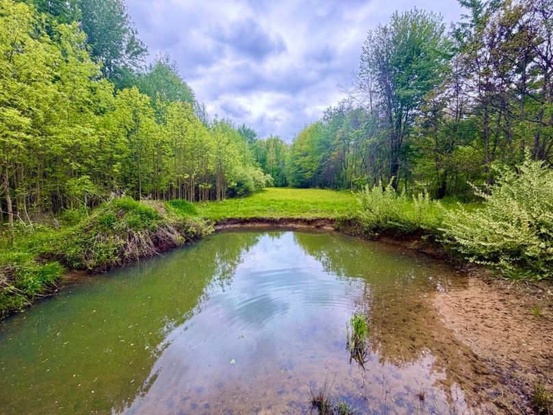 2 Food PLot and Pond