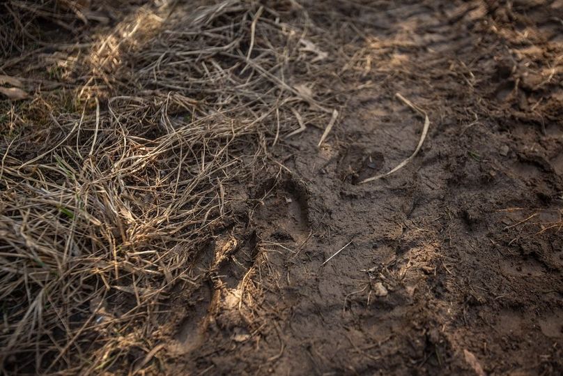 PAGE CO IA 130+_-_20