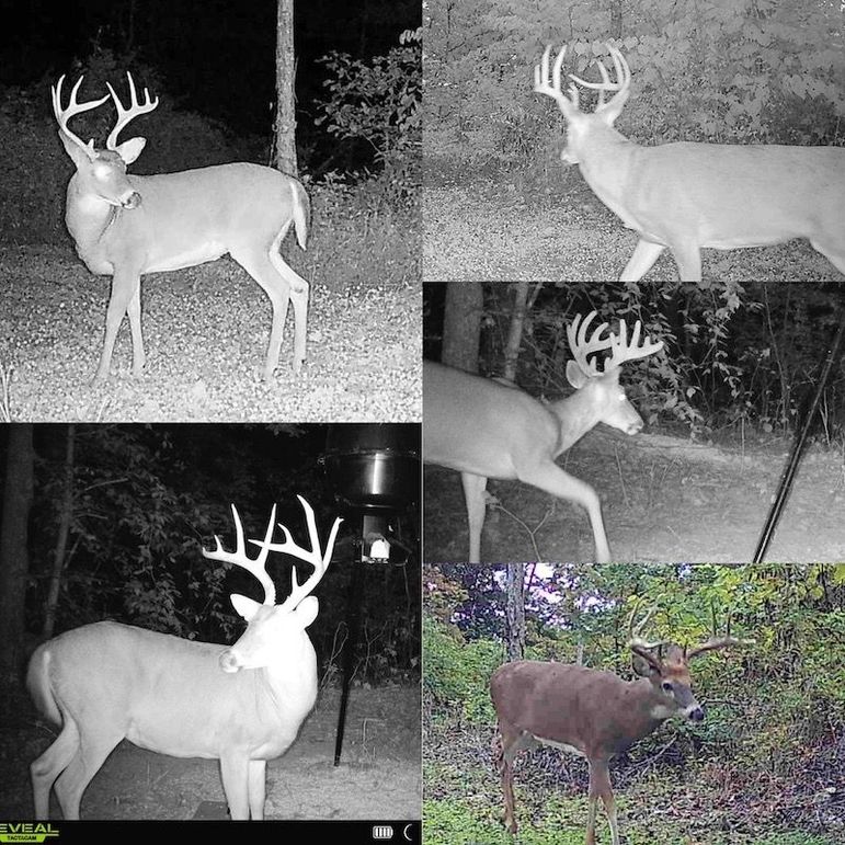 Carter Gordon 70 +_- 003