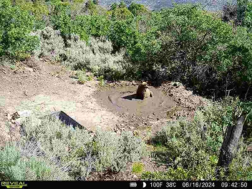 860516060007964-100-2-06162024094250-V-W1001348