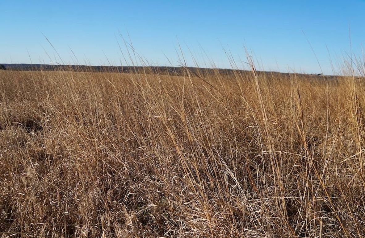 5A54A095-AB4E-4F77-BBFC-0E1EEDC1EF5C_1_201_a