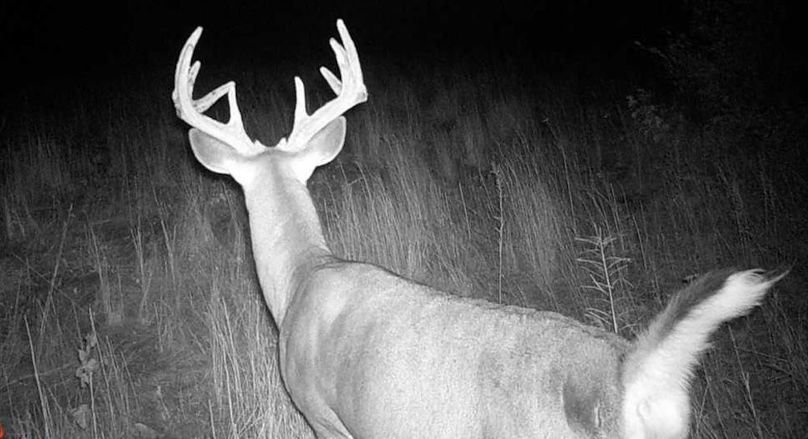 24090104045401000391 (1)