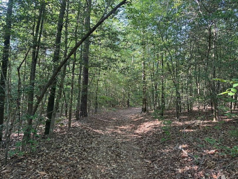 12 - trail 5
