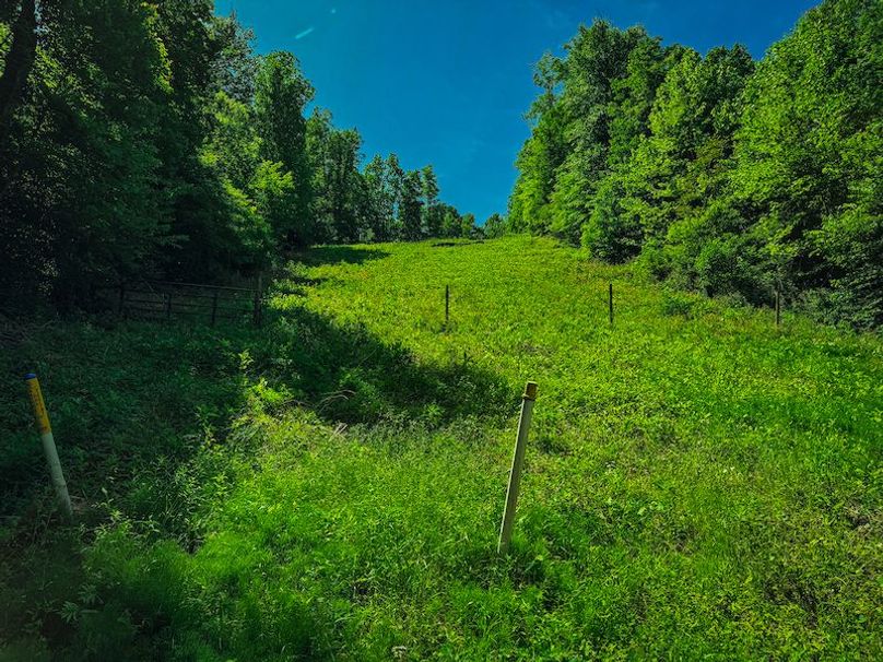 Doddridge, WV 64.69 AC Davis-33