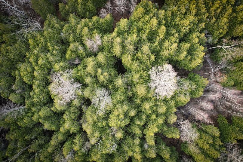 StLawrence_142.7_Bosse_Photos_65