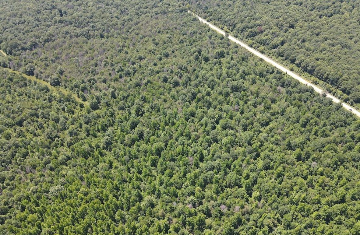 dji_fly_20240614_145832_168_1718395134752_photo 2