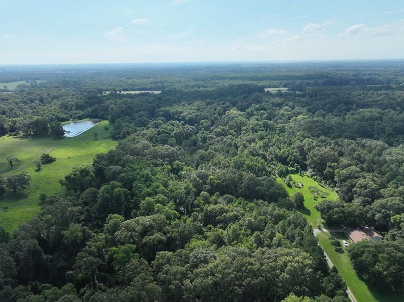 dji_fly_20240628_102304_585_1719590847242_photo