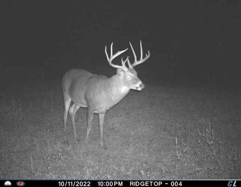 trail cam41