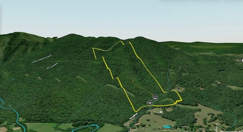 Screenshot 2024-08-14 at 4.36.00 PM