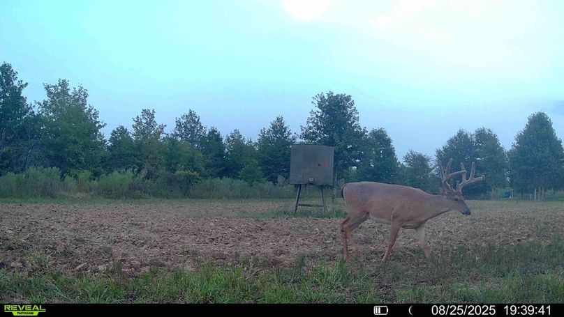 016579000474077-33-2-08252025204743-HD-SYFW03555