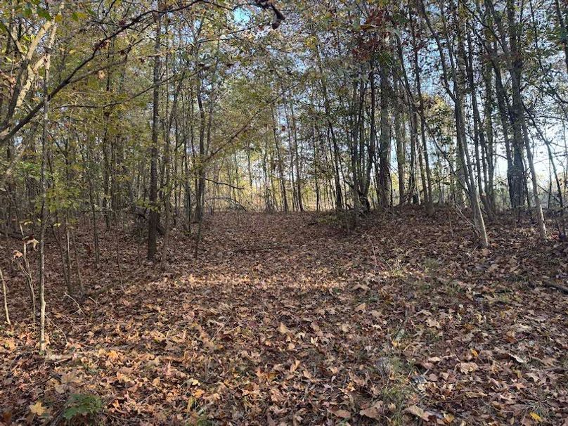 Jeff 11720251111_0203