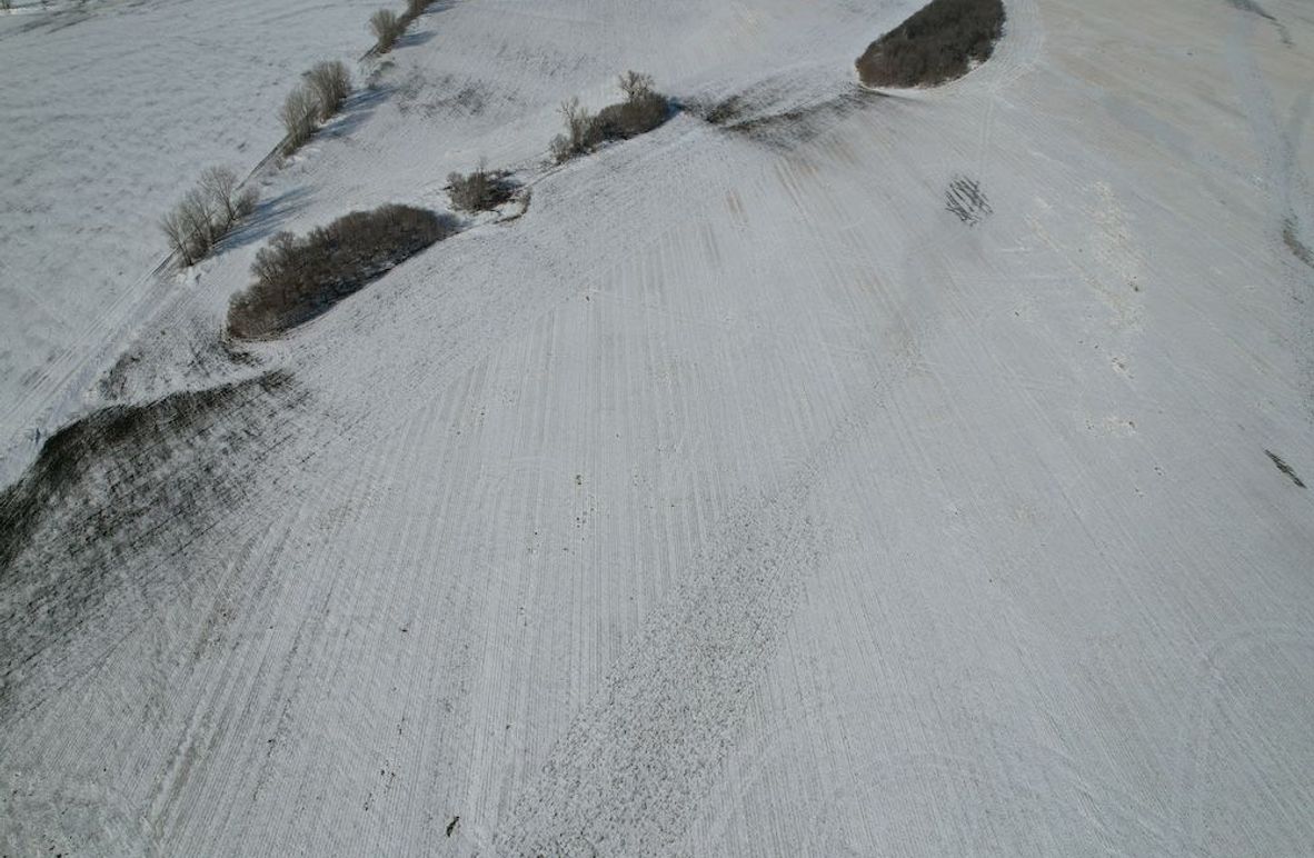 dji_fly_20260226_144954_82_1772139423331_photo