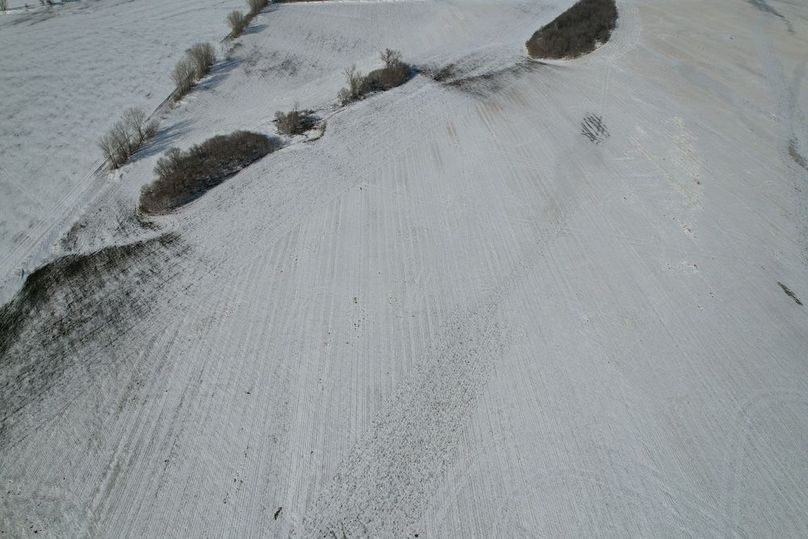 dji_fly_20260226_144954_82_1772139423331_photo