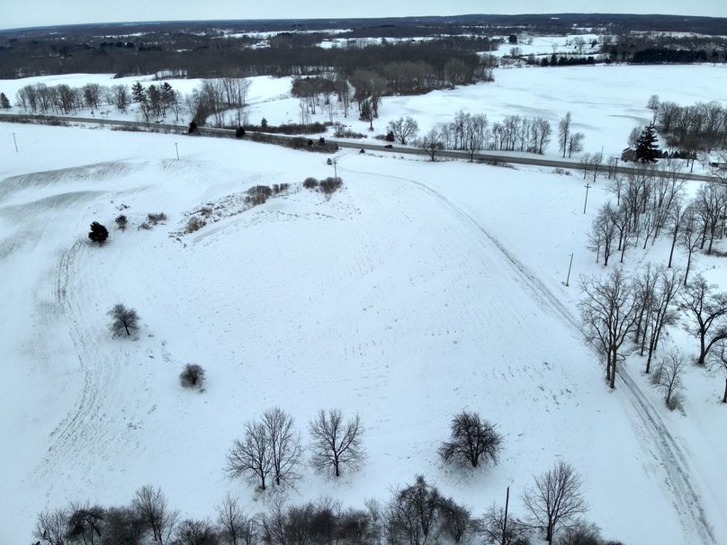 Copy of Tract 1 looking S to M-50 Large