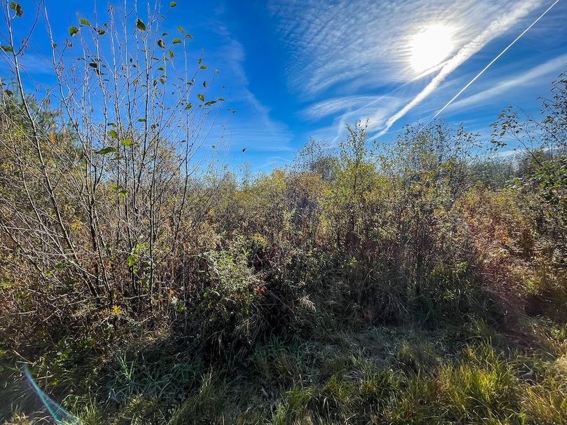 Clark 24.75 Winkel -17