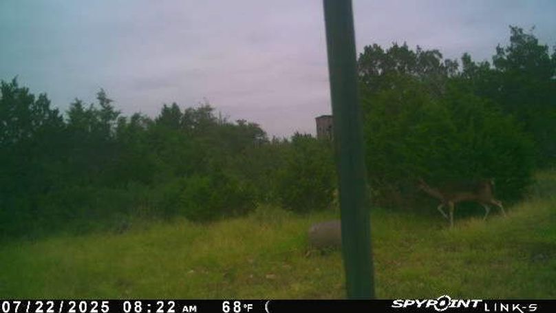 PICT3025_202507221322GZUL4