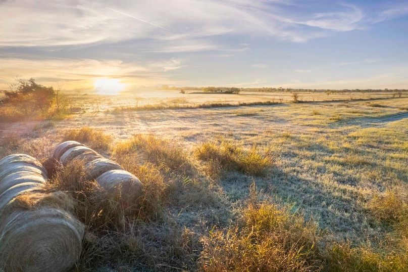 Cooke County- 13.5 acres no pond (2.6 of 21)