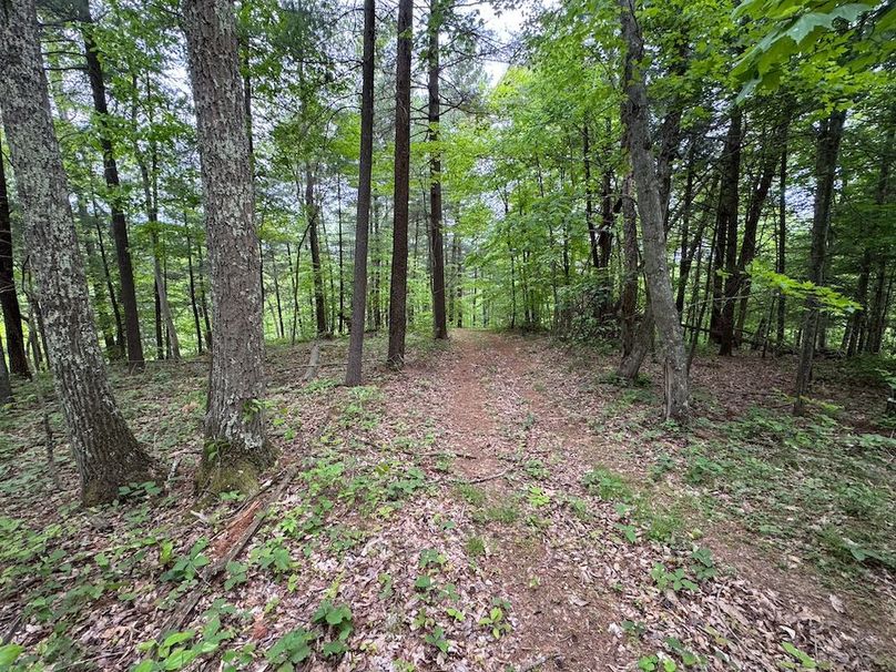 Pleasants, WV 168.59 AC Superior, Swank, Young-098