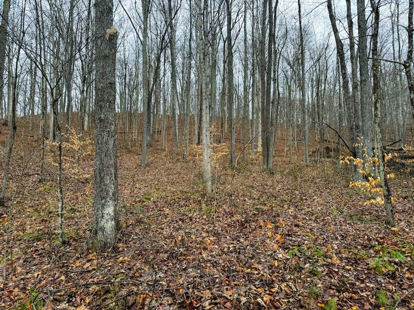 Ritchie, WV 64 AC Hall New Pics-17