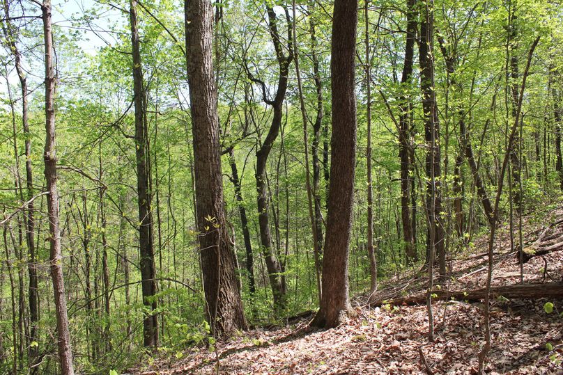 011 east facing slope just off the west ridge