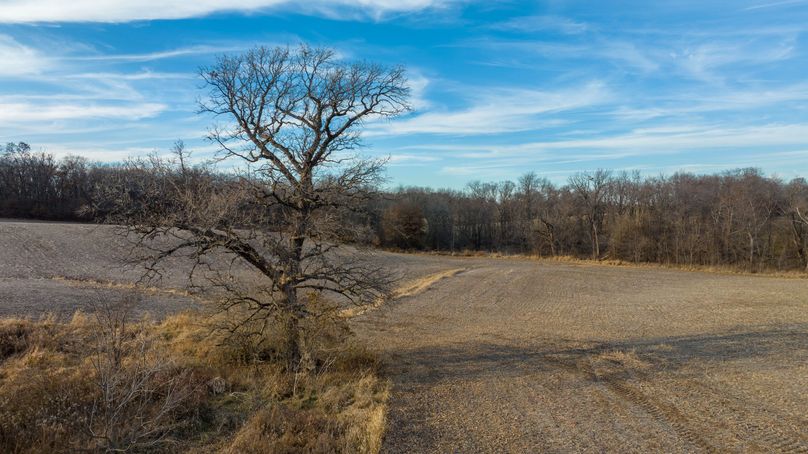 DJI_0623-HDR