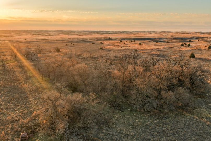 DJI_20260311082045_0527_D