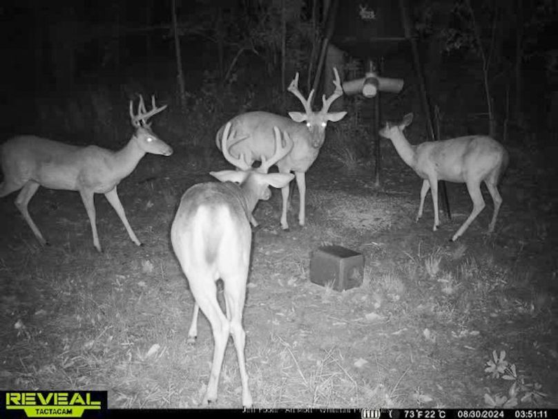 Holmes County - 108 - Rodriguez-68