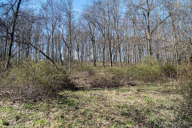 Jo Daviess IL 23.5_14