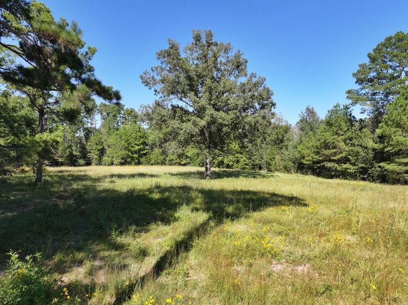 dji_fly_20251014_150936_0682_1760473188875_photo