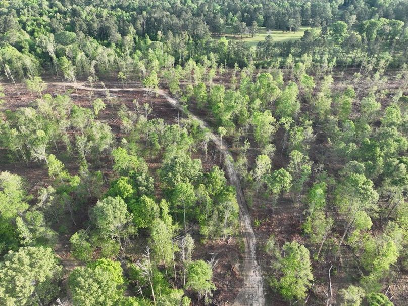 dji_fly_20260407_083702_370_1775580282391_photo