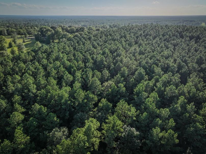 Copy of DJI_20240704185755_0004_D