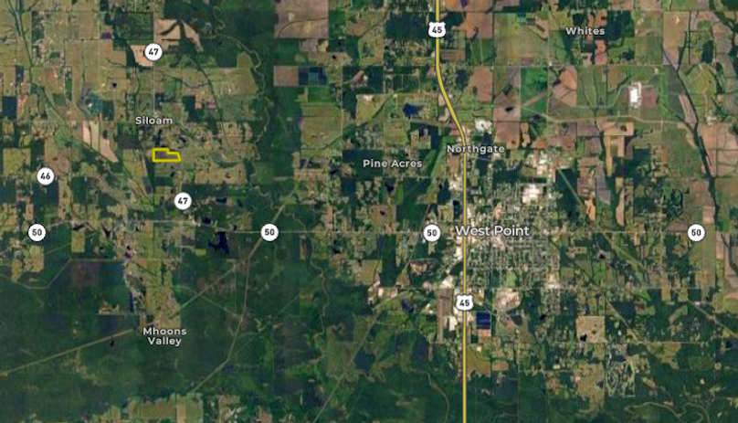 Screenshot 2025-11-17 at 12.40.58 PM