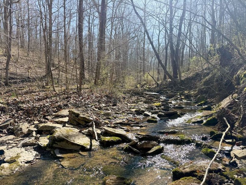 Fleming Petry 115-39