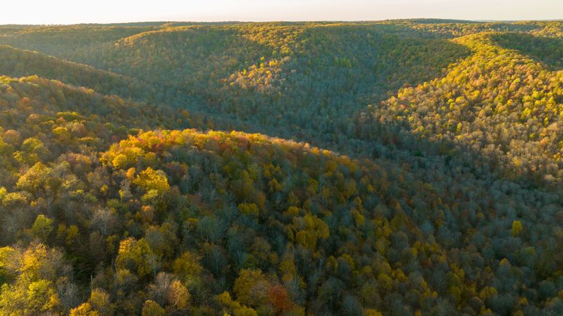 Elk PA 7000 Feature_Pro Photo-169