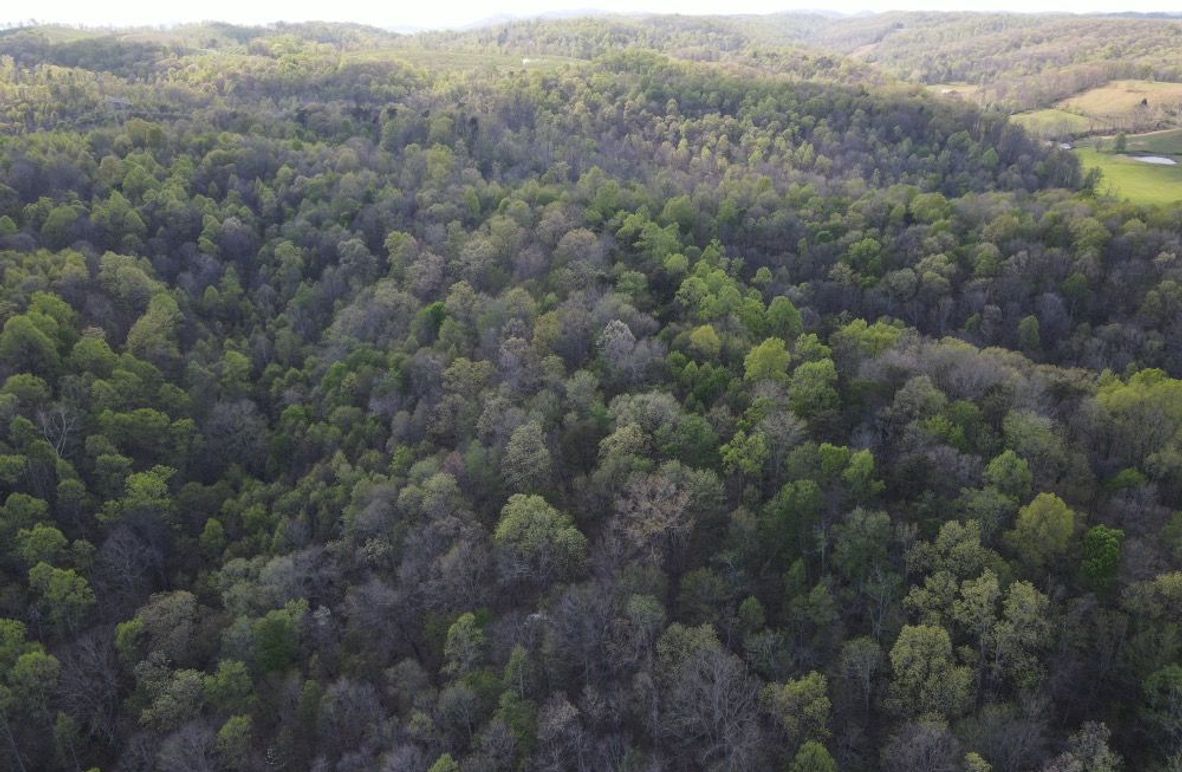 DJI_0868_W