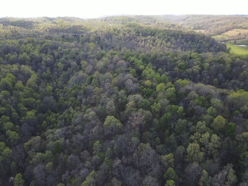 DJI_0868_W