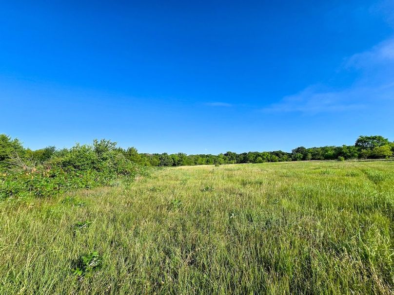 Copy of 20250729_082911