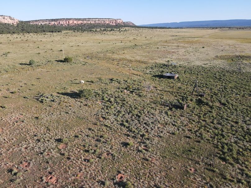 dji_fly_20240816_075424_519_1723816491760_photo