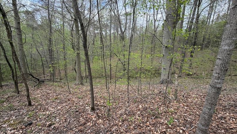 edmonson 110 42