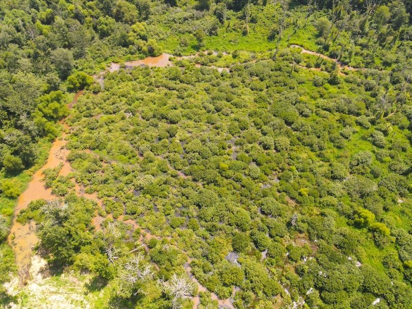 dji_fly_20250729_115940_739_1753804821596_photo