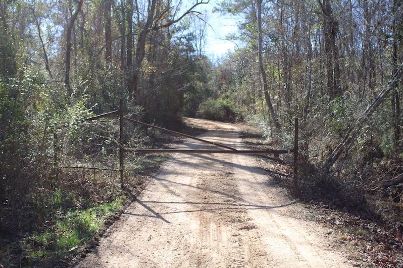 062FBF57-FFDB-4F38-8285-63412FBEE82C_1_105_c