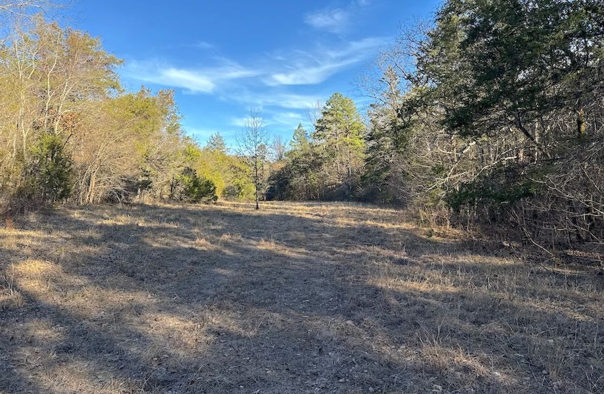 DJI_20260211_154454_140